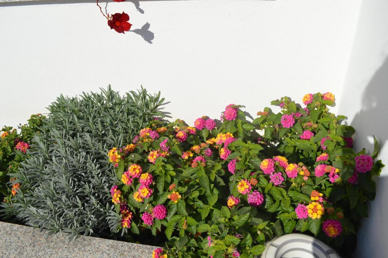 Bed And Breakfast Villa Tota Catanzaro Bagian luar foto